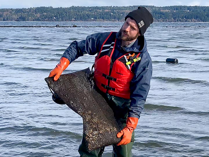 Shellfish farmer with oyster bags